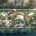 cong-vien-the-foresta-lumiere-orient-pearl